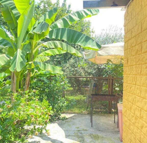 پانسیون Totoro