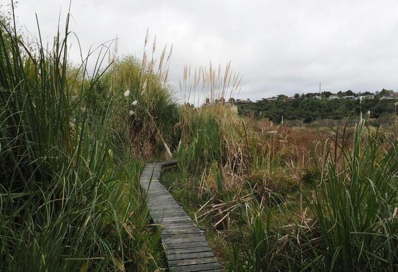 膳宿费 Uniqueness