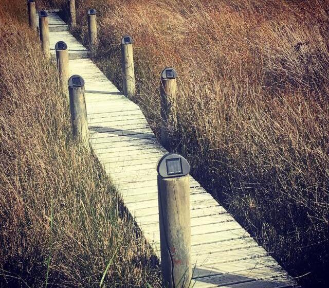 膳宿费 Uniqueness