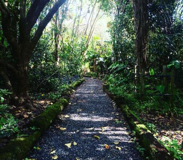 膳宿费 Uniqueness