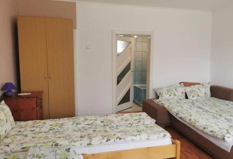 펜션 Zöldfenyő Vendégház