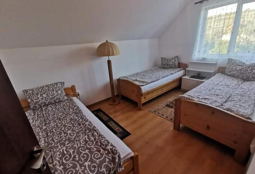 펜션 Zöldfenyő Vendégház