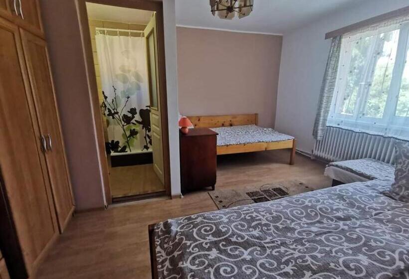 펜션 Zöldfenyő Vendégház