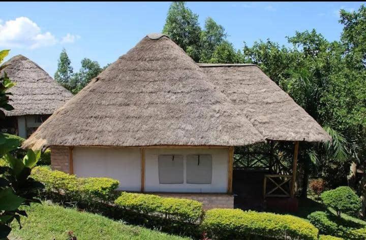 استراحتگاه Baboon Lodge Queen Elizabeth