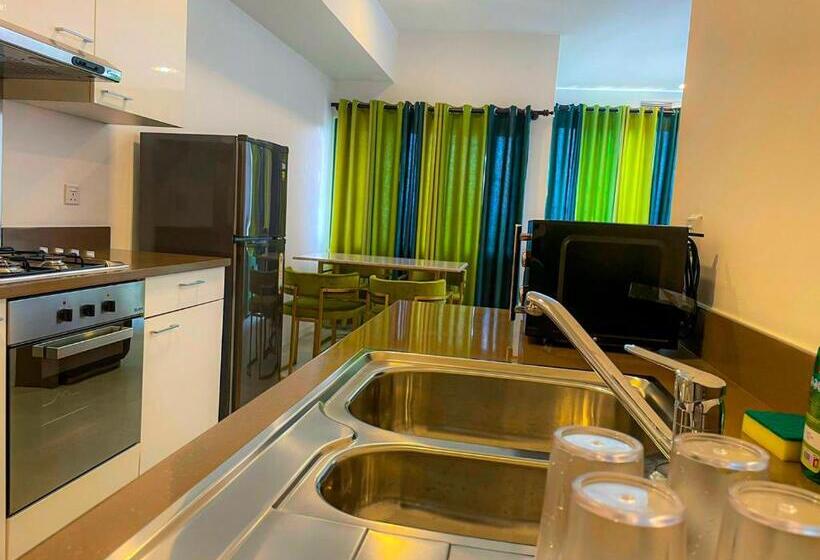 Sea And Mountain Collections