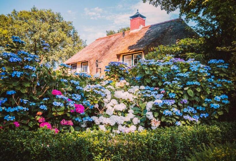 ベッドアンドブレックファースト Bed & Brood Morgenrood