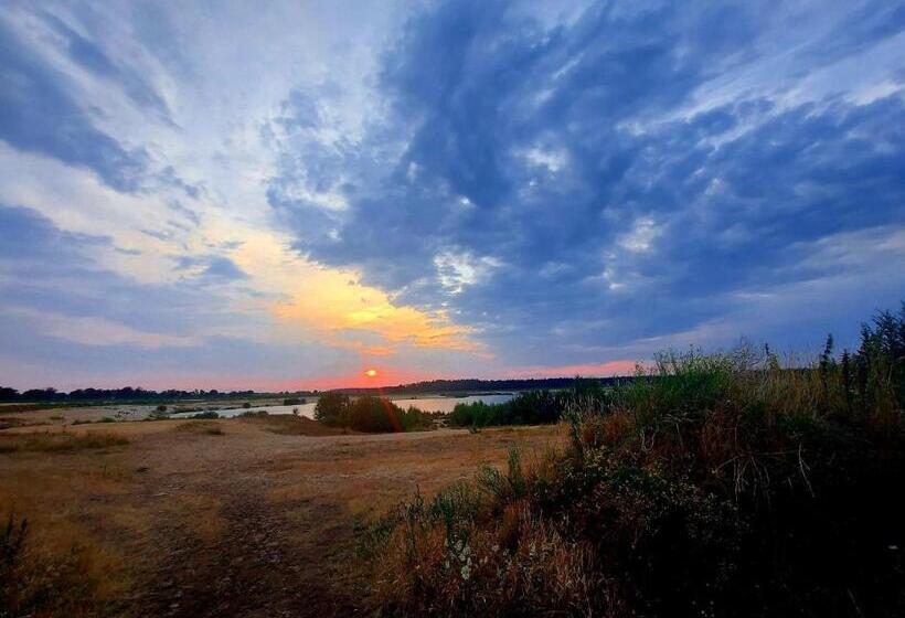 ベッドアンドブレックファースト Bed & Brood Morgenrood