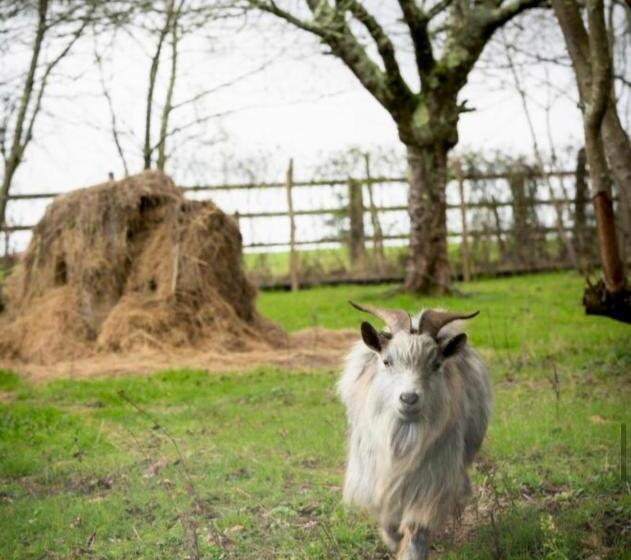 مبيت وإفطار Domaine De Belle Etoile