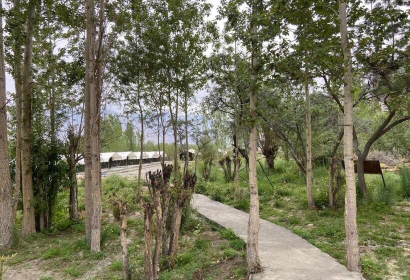 Bed and Breakfast Ladakh Mountian Escape Camp By Lexstays