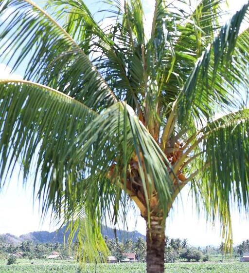 בית מלון כפרי Abhizar Bungalow