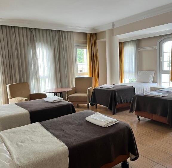 هتل Büyükşehzade