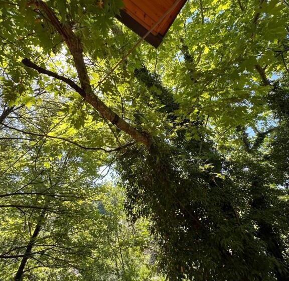 Bar Restaurant Hotel Fresku