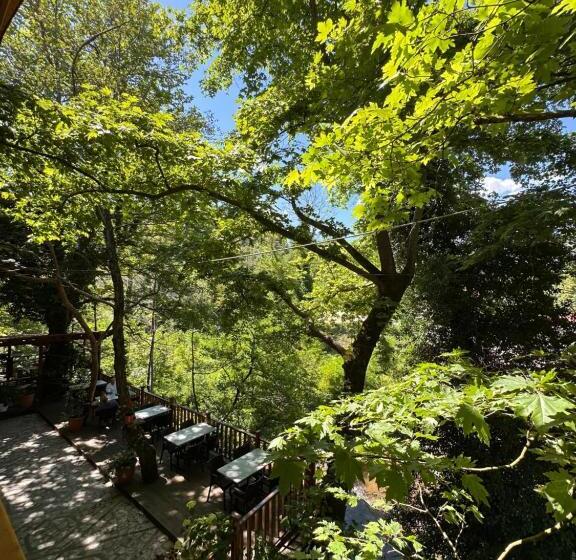 Bar Restaurant Hotel Fresku