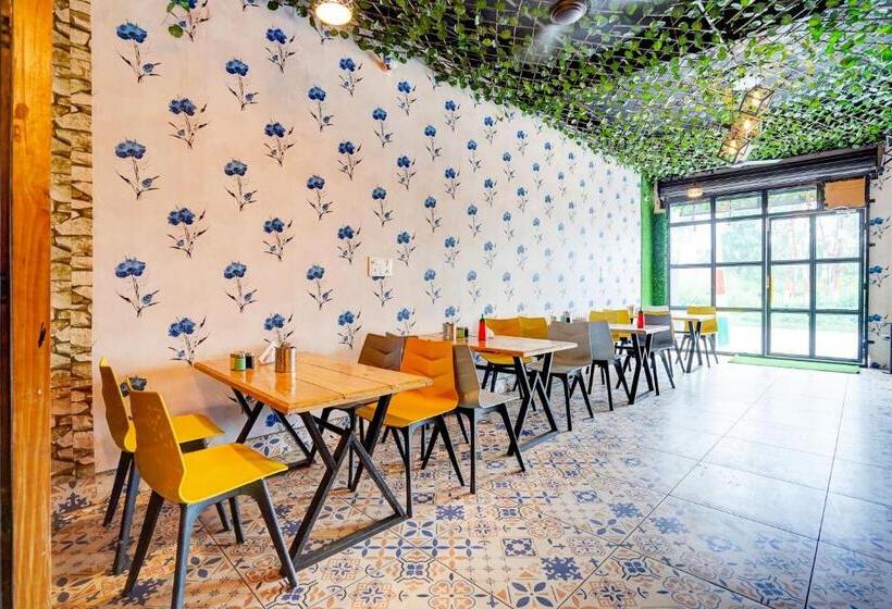 Отель O Eat Out Cafe & Rooms