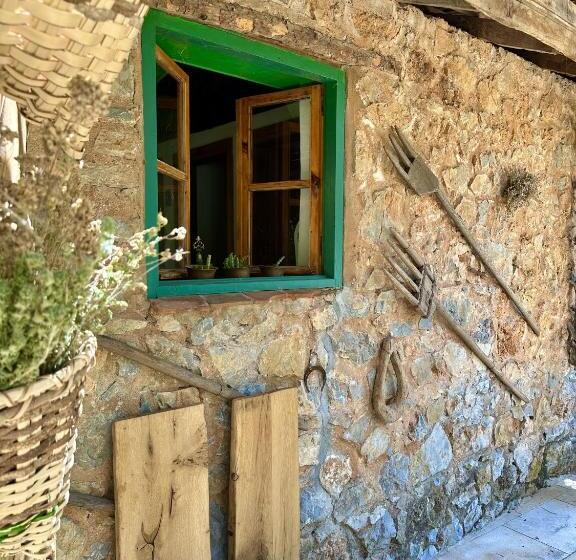 호텔 Pure Life Göcek