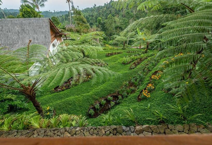 בית מלון כפרי Umah Lusa