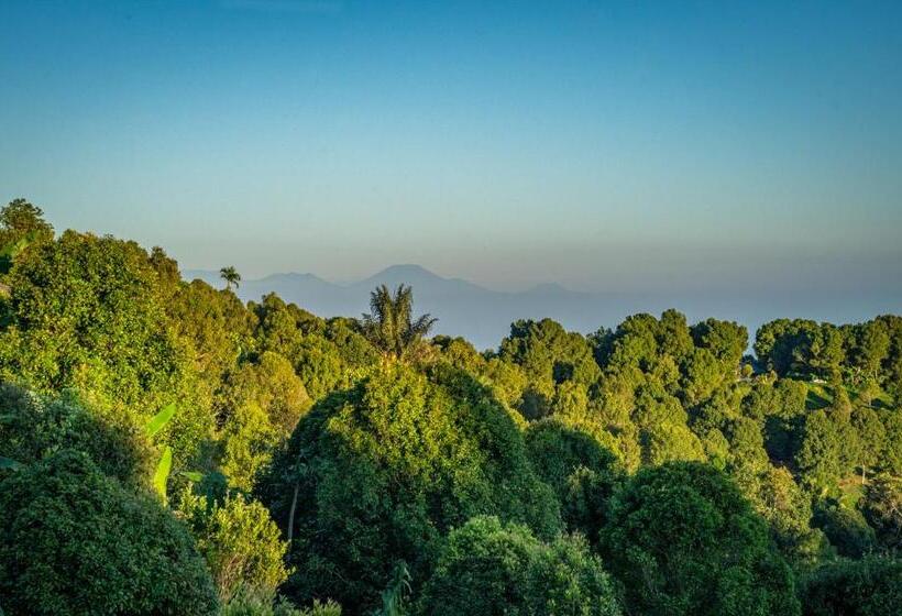 בית מלון כפרי Umah Lusa