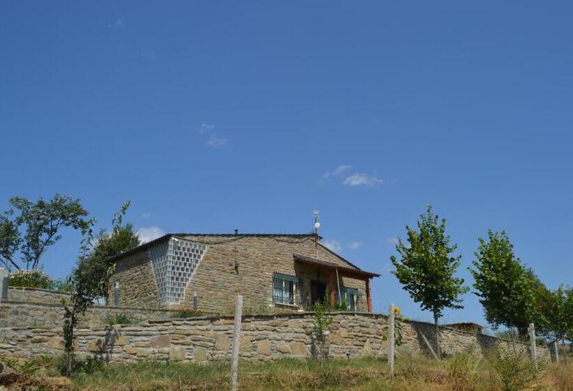 پانسیون Camping & Guest House Murataj