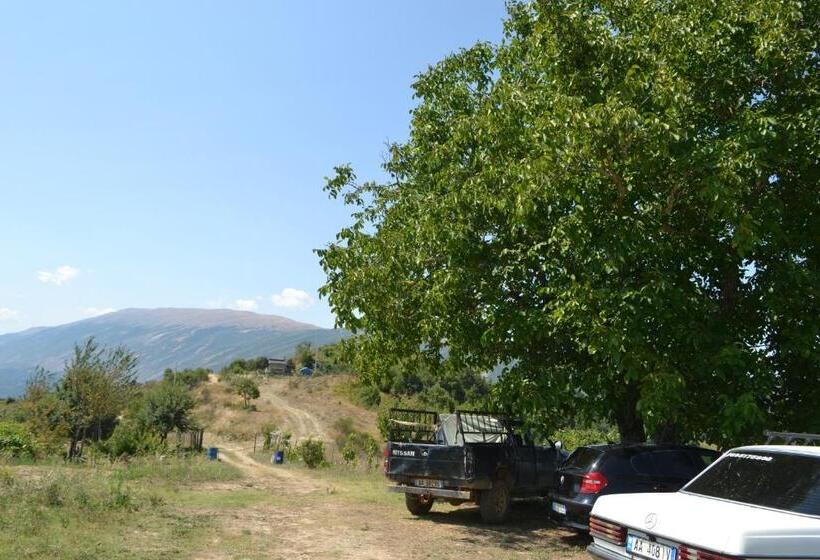 پانسیون Camping & Guest House Murataj