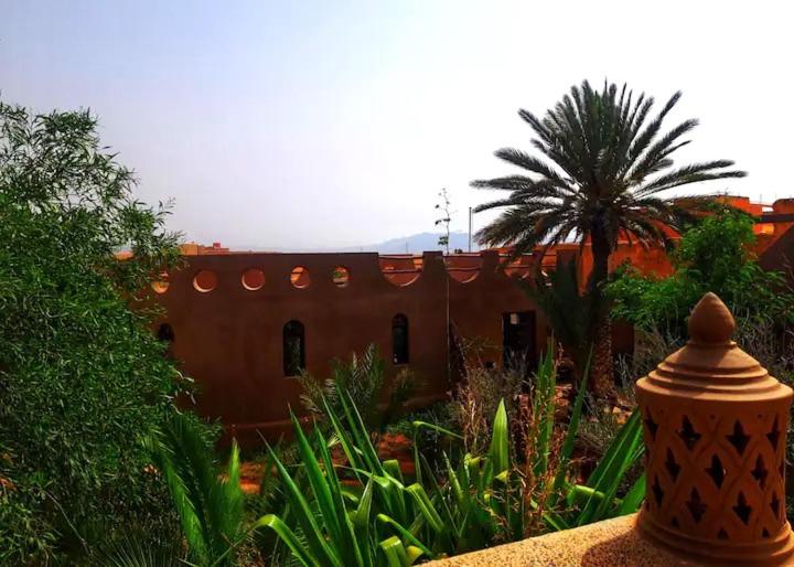 پانسیون Le Petit Yucca   Chambre Safari