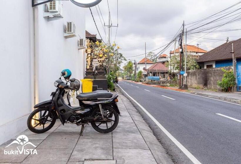 פנסיון Mo Cactus