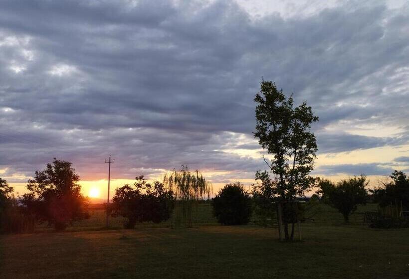 פנסיון Ta Jevada