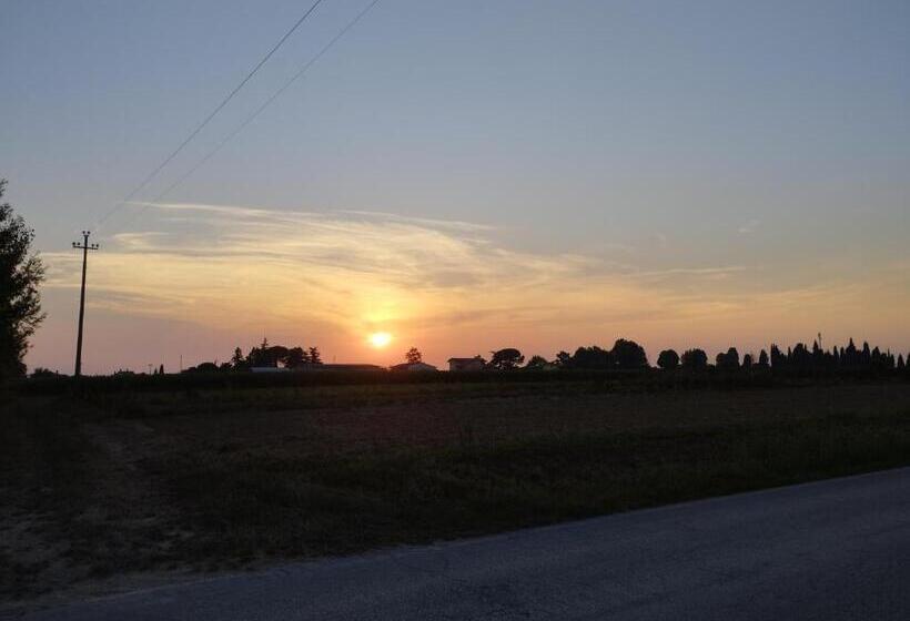 פנסיון Ta Jevada