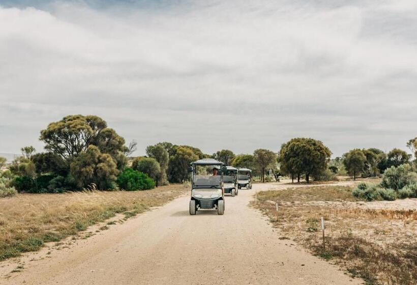 منتجع Rumi On Louth