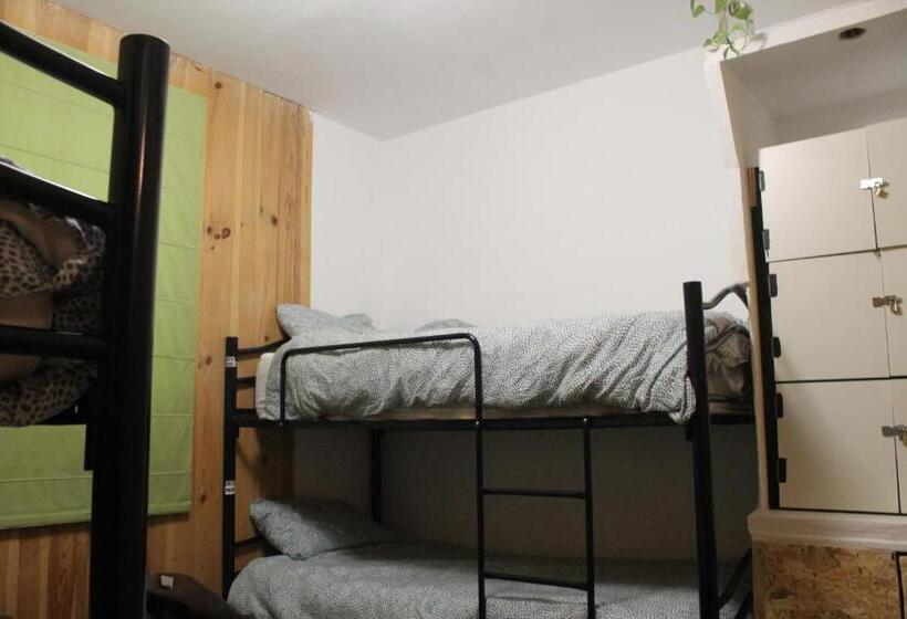 Albergue Gatera House