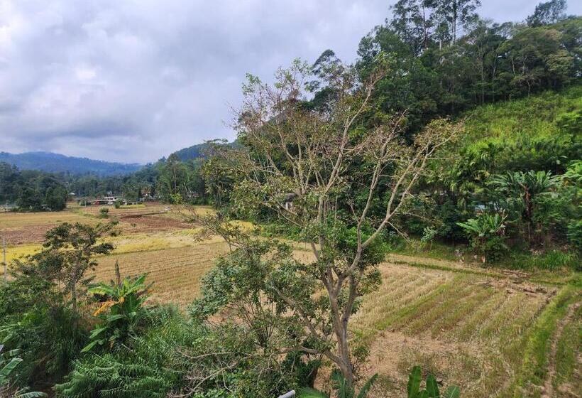 旅馆 Onel Rest Inn