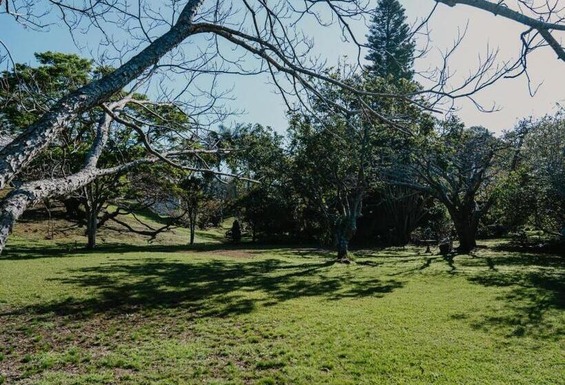 צימר Castillo Rio