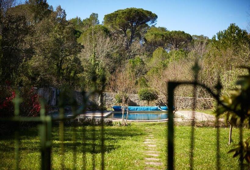 Bed and Breakfast Ferme Saint Georges En Provence