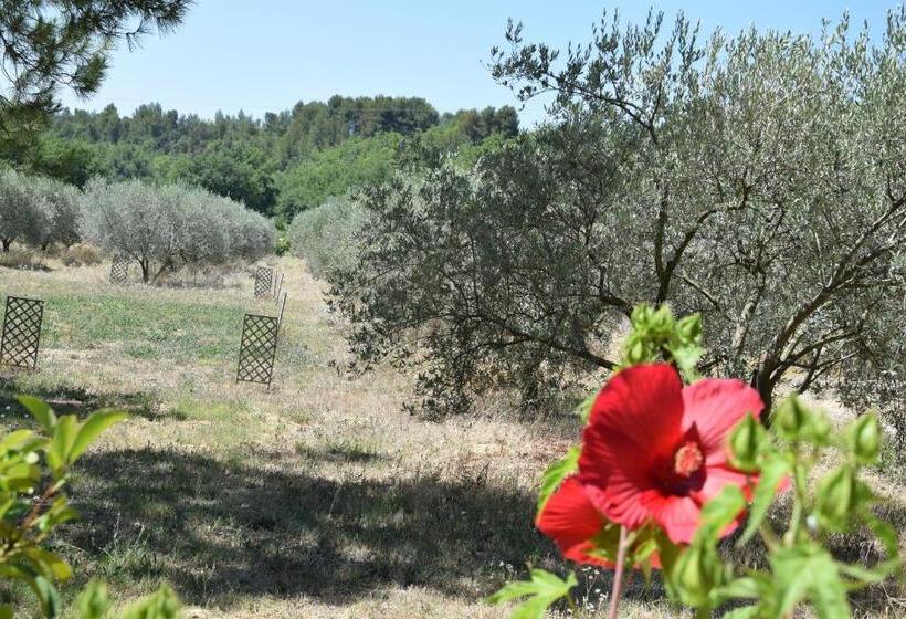 ベッドアンドブレックファースト La Chambre Des Amis Au Moulin Des Gypses