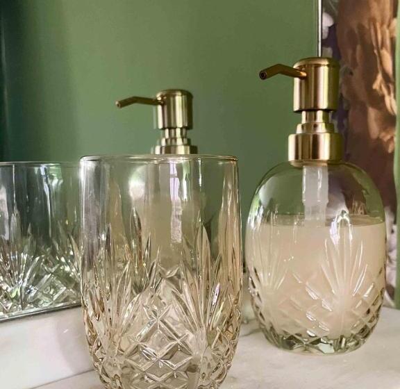 Bed and Breakfast Landhuis De Nieuwe Hof