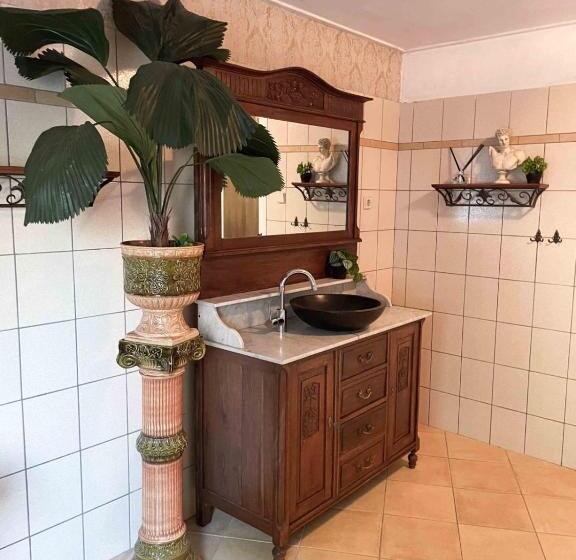 Bed and Breakfast Landhuis De Nieuwe Hof