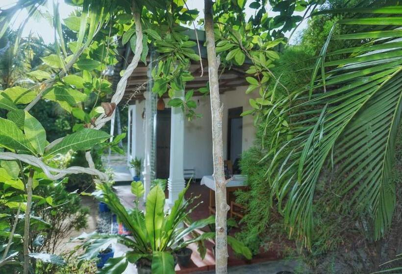 住宿加早餐  Sashini Homestay