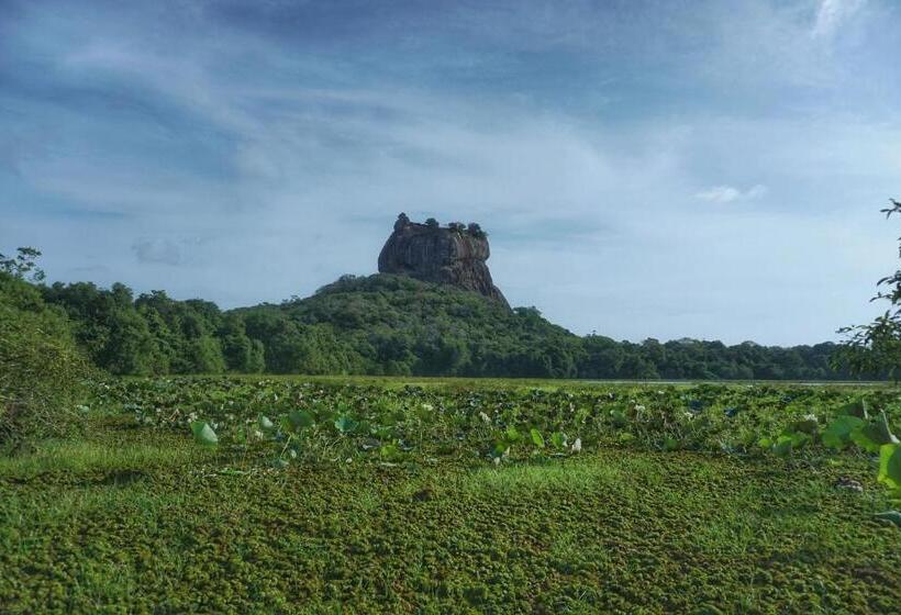 住宿加早餐  Sashini Homestay