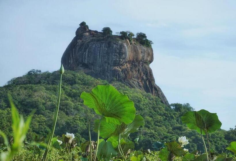 住宿加早餐  Sashini Homestay