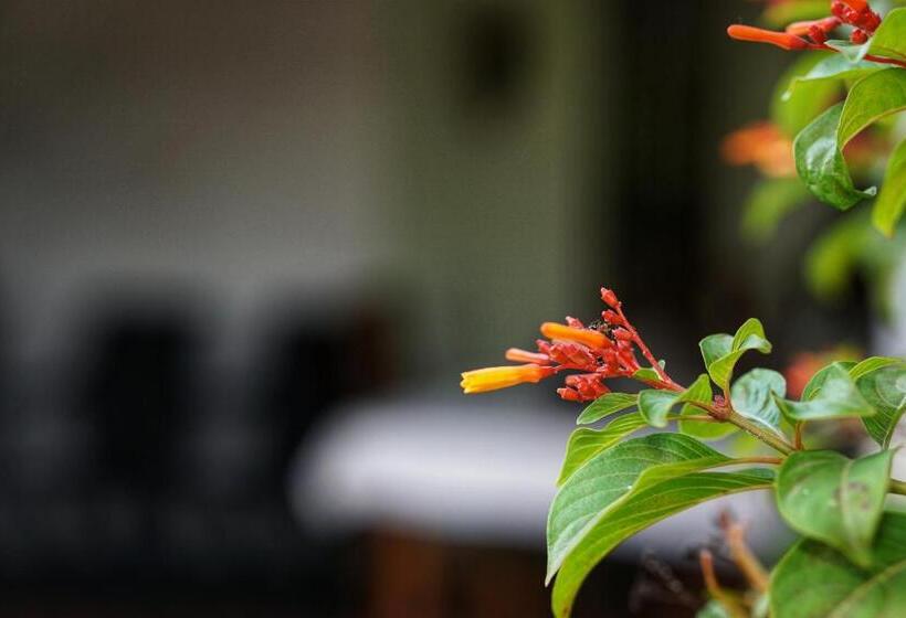 住宿加早餐  Sashini Homestay