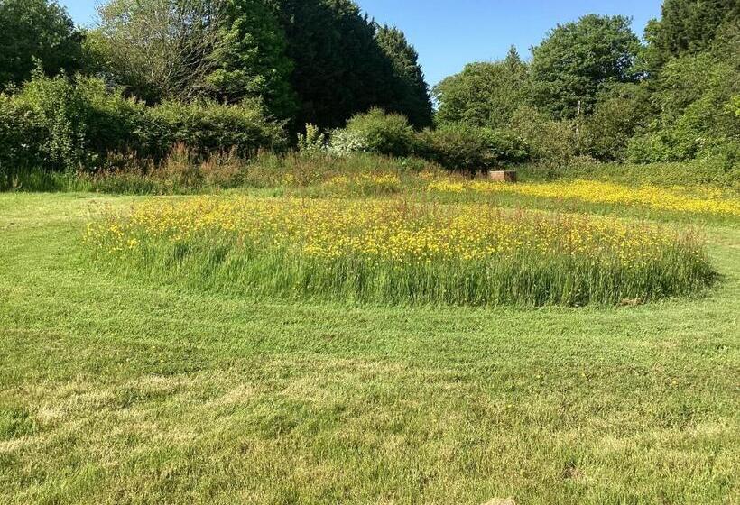 Bed and Breakfast Vigo Retreat Boat Yurt