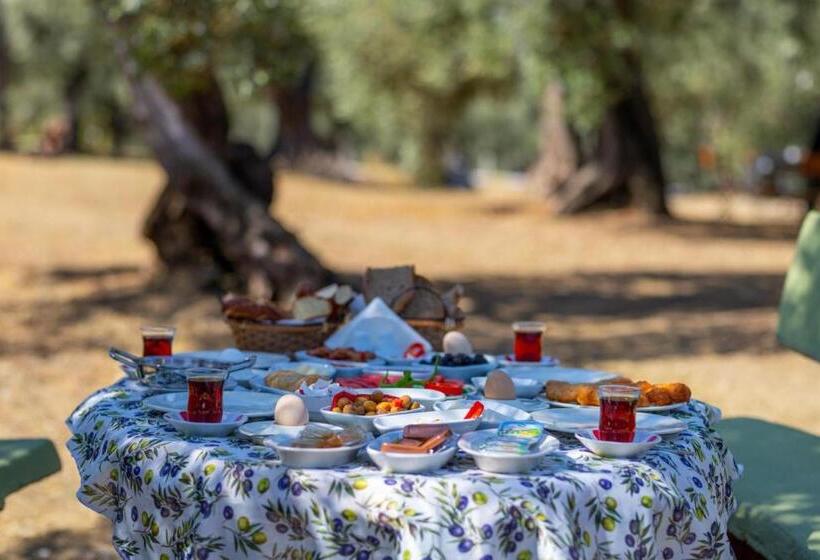 فندق Keremköy Yaşam Platosu