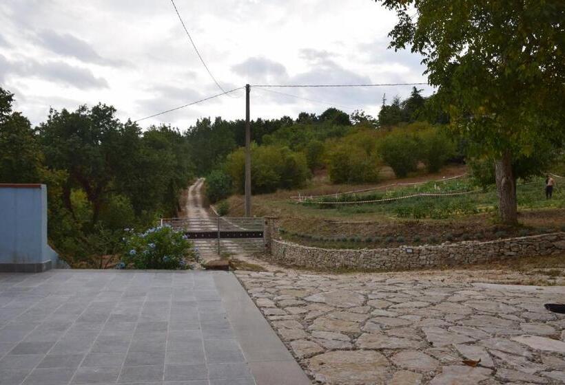 호텔 La Terrazza Delle Noci   Alloggio Agrituristico
