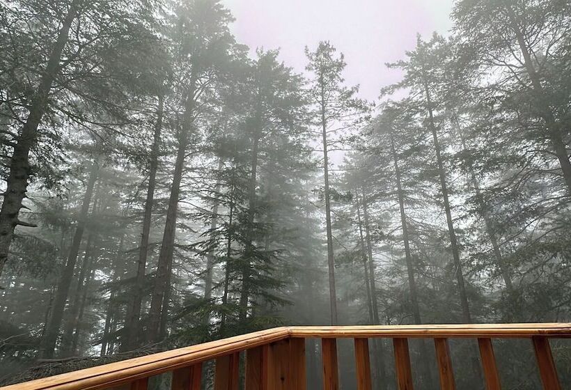 فندق Pine Heritage