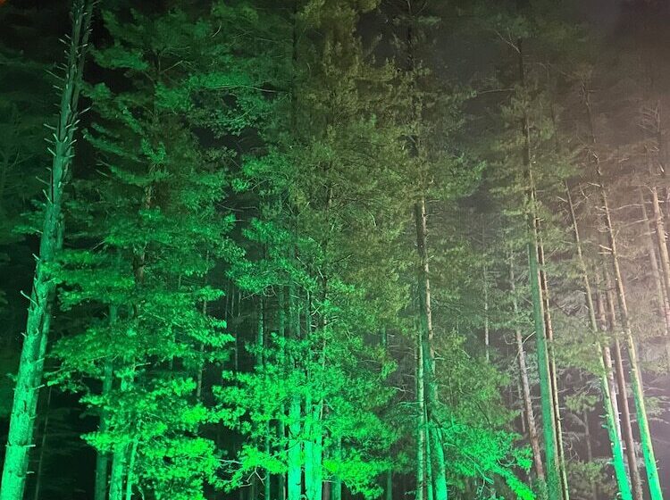 فندق Pine Heritage