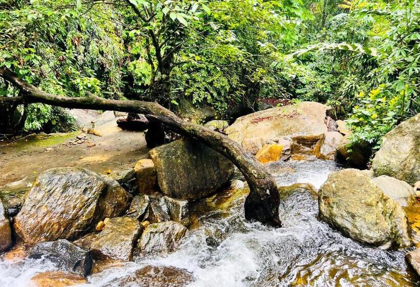 ホテル Rabuka Resort