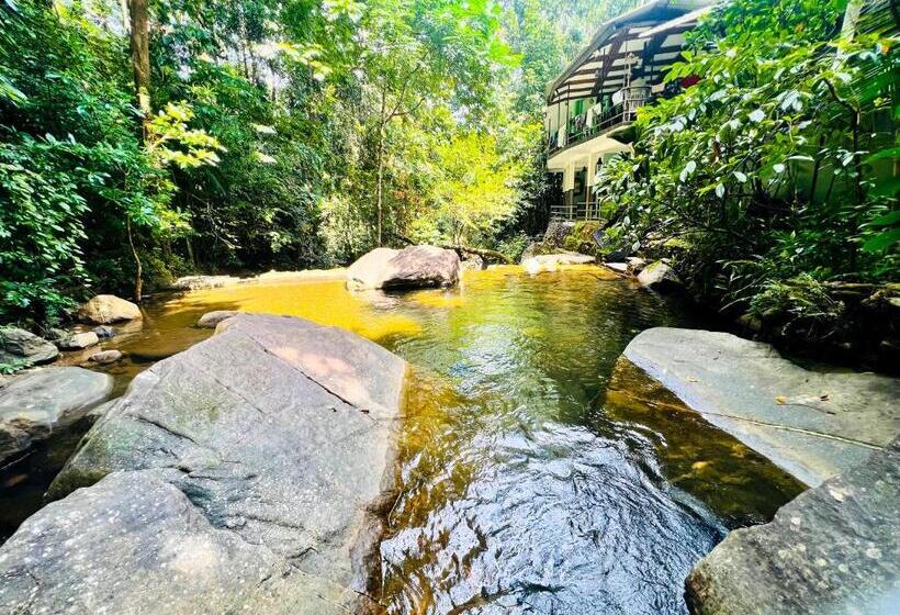 ホテル Rabuka Resort