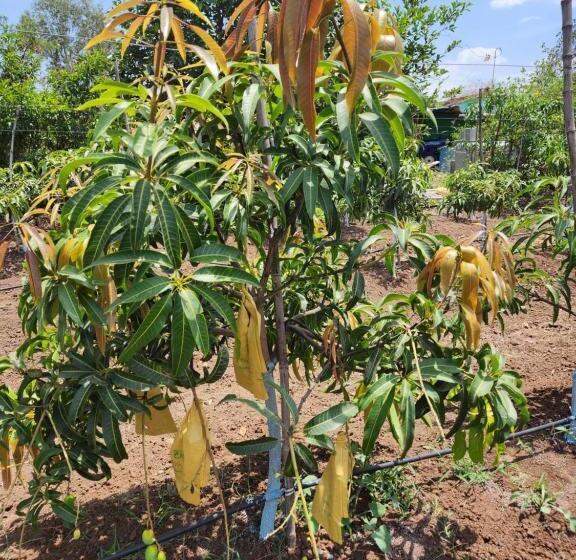 호텔 The Windsor Villa By Parisha Farm