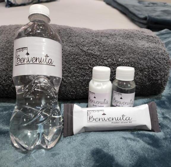 بنسيون Benvenuta Gastehuis