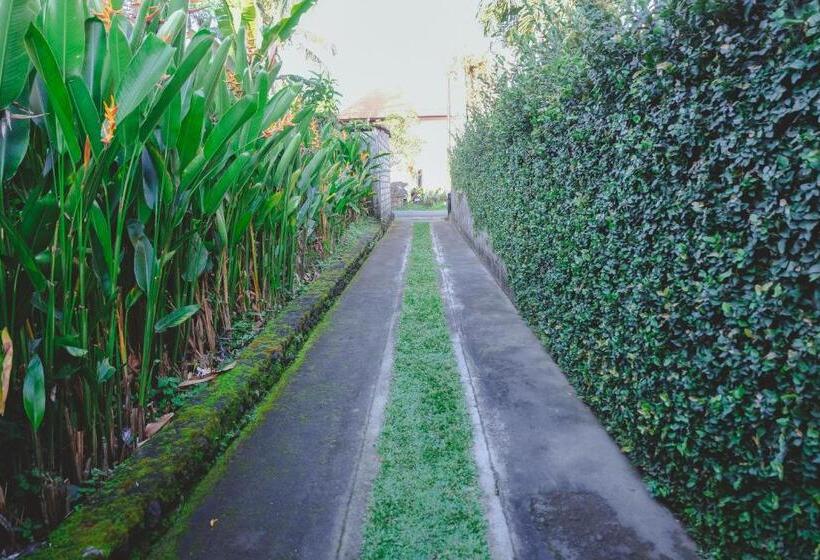 פנסיון D Sila House