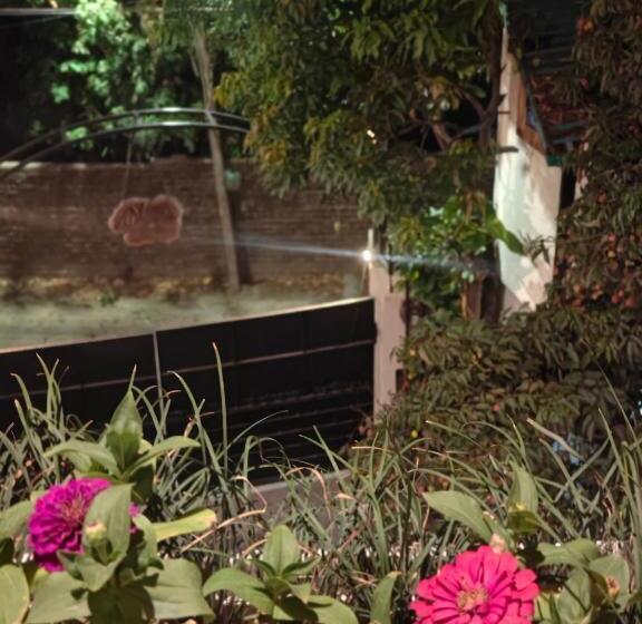 Пансион Golden Bamboo